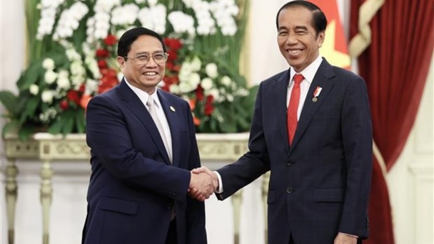 Vietnam, Indonesia eye comprehensive strategic partnership